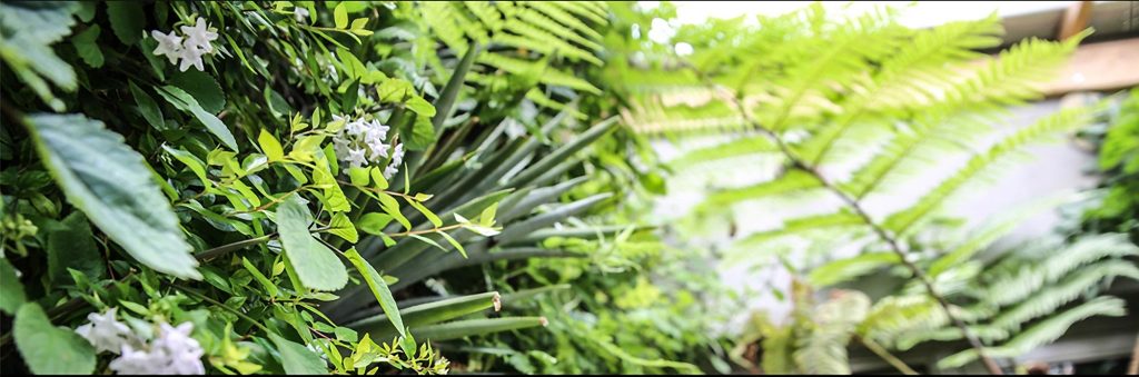 The Living Room Jozi