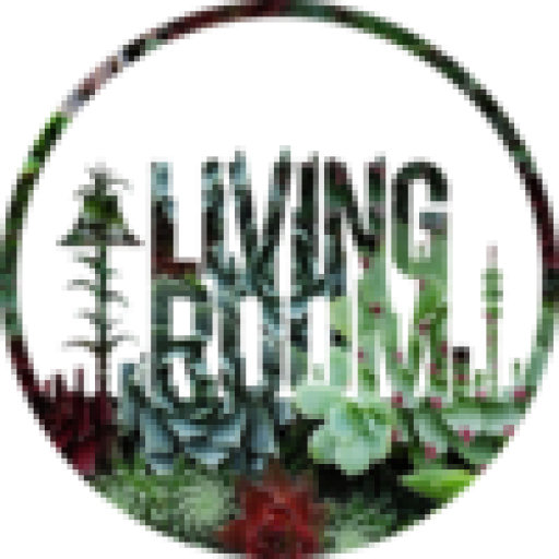 The Living Room Jozi