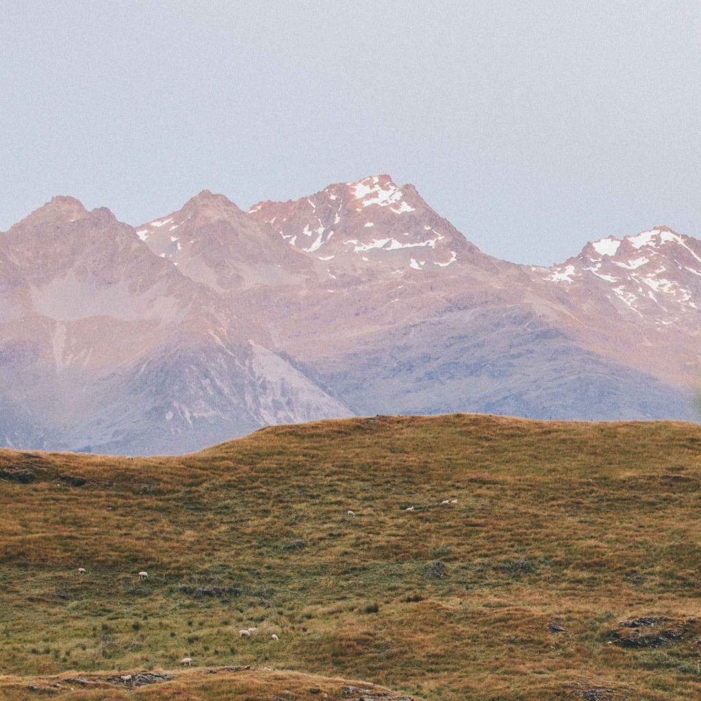 The Living Room Jozi