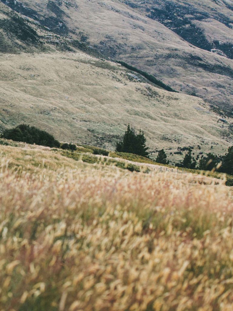 The Living Room Jozi