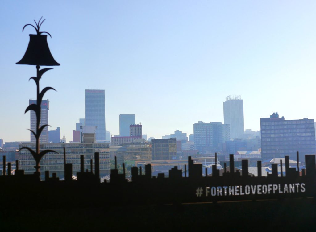 The Living Room Jozi