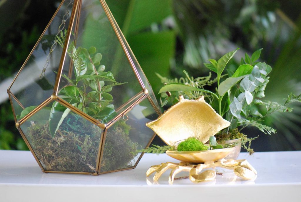 bontanical decor living room design