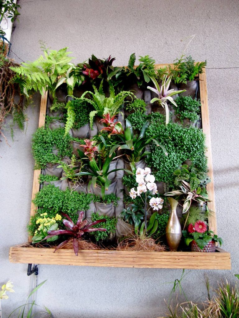 planted wall frame living room design