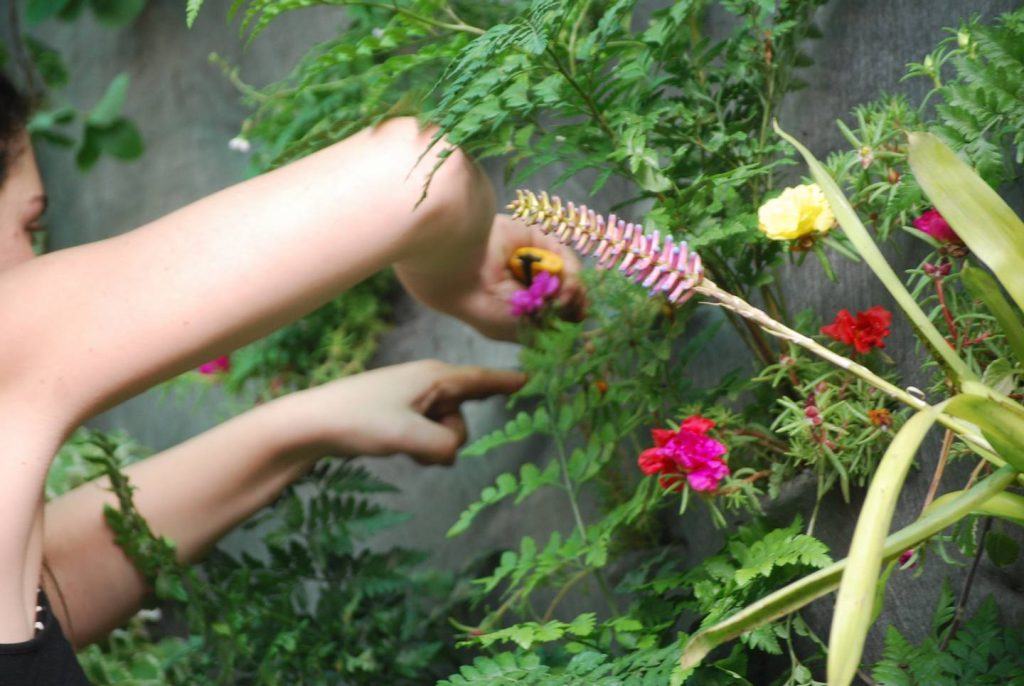 work in progress vertical garden